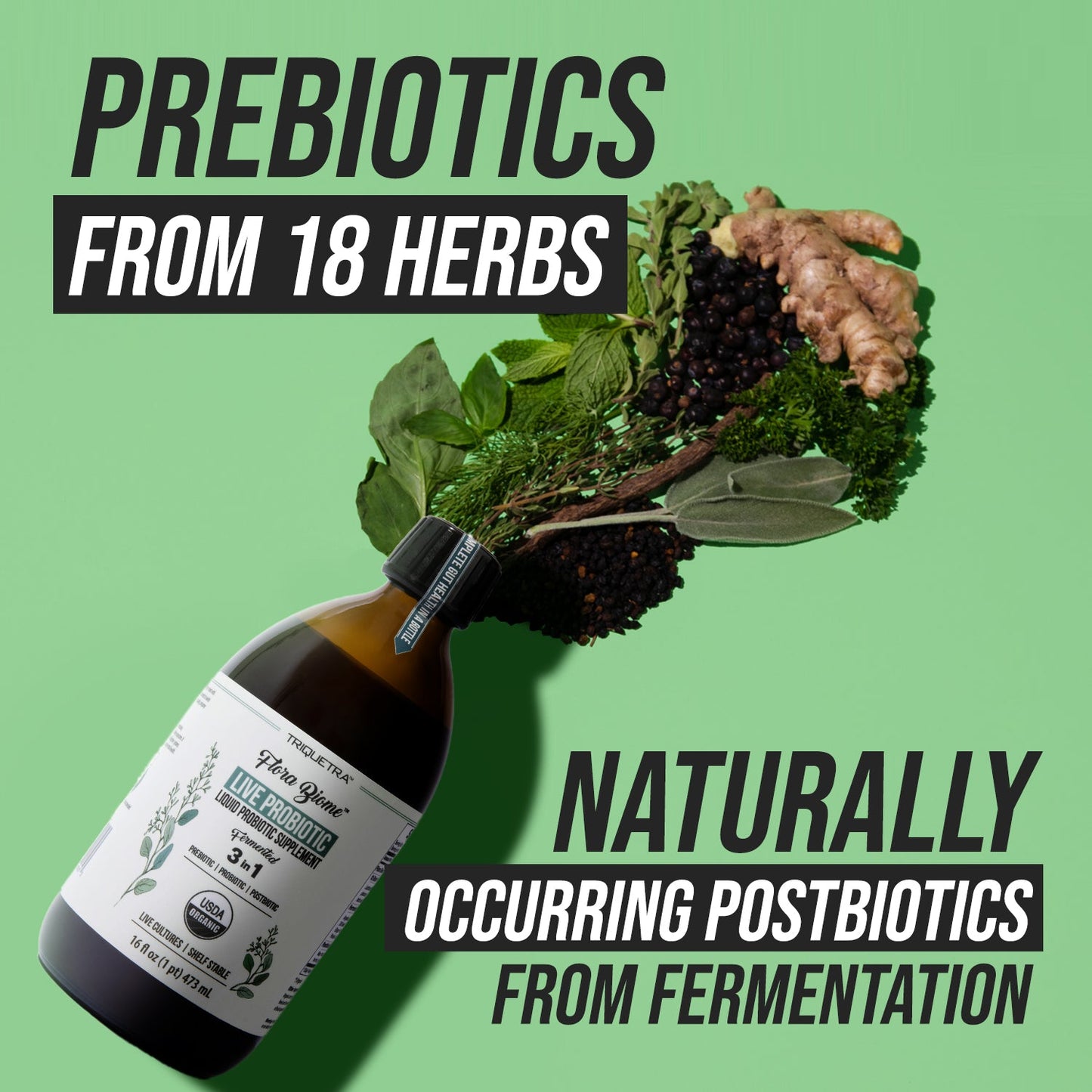 Triquetra | Flora Biome Live Probiotic