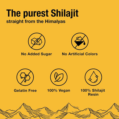 Body Wise | Pure Shilajit Gummies